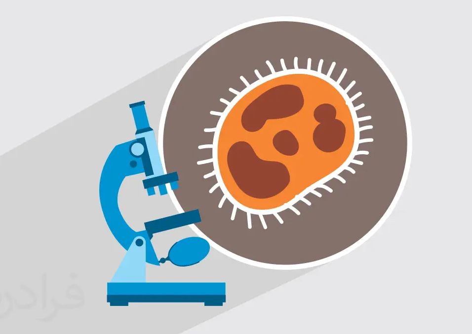 دانلود جزوه خلاصه بافت شناسی جانوری رشته زیست شناسی دانلود جزوه خلاصه بافت شناسی جانوری رشته زیست شناسی